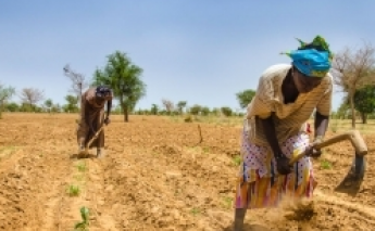 Hunger in the Sahel is a ‘disaster that the world cannot continue to ignore’